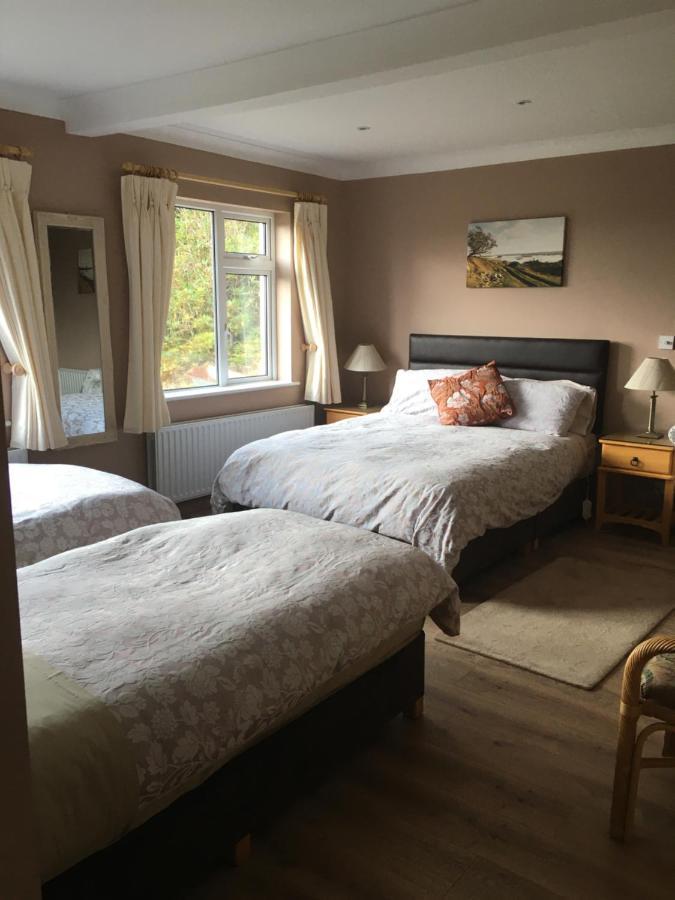 Atlantic View Bed & Breakfast Clifden Eksteriør bilde